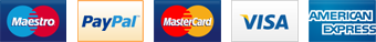 Maestro, PayPal, Mastercard, Visa, Amex